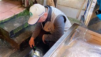 屏東登革熱進入「控制關鍵期」監測至12/8