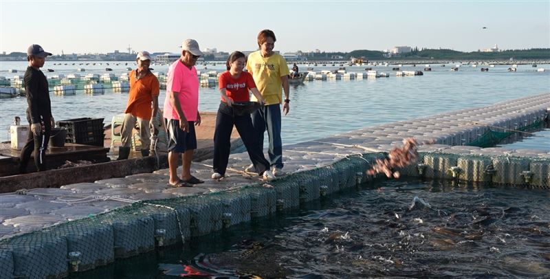 （主持人將一盆盆海鱺丟入海中餵魚／寶島神很大提供）