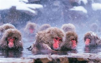 Klook推日韓冬季限時下殺　買1送1開搶