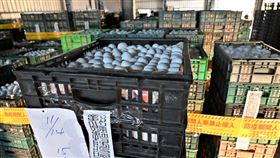 新／25萬毒蛋運往銷毀　警方全程戒備護送(圖/翻攝畫面)