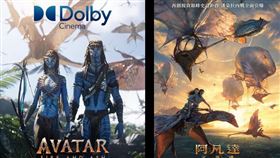 《阿凡達：火與燼》各特殊版本海報一次公開。（圖／二十世紀影業提供）