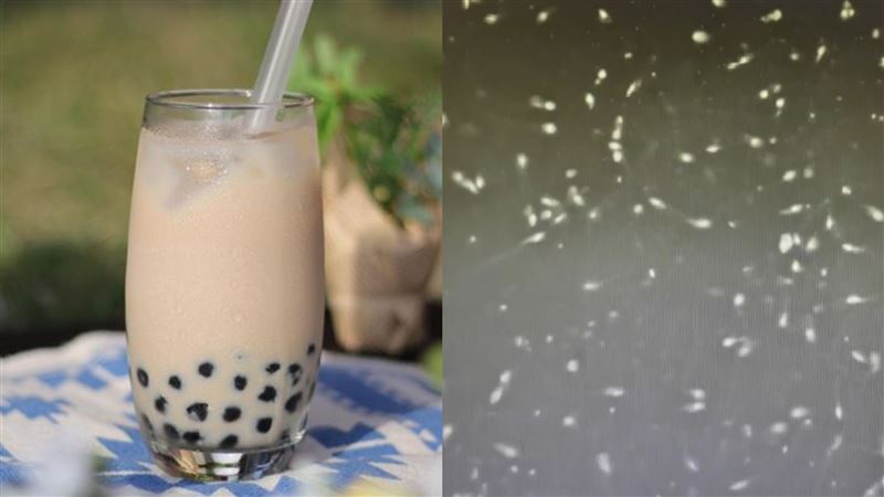 天天喝珍奶！男「精蟲變成碎片」下場悲涼