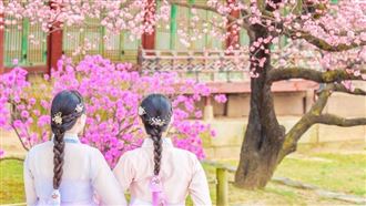 中遊客改去韓　韓網崩潰：又要變吵鬧髒亂