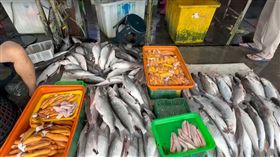 12天捕7400尾，狂撈烏金2百萬，年終獎金先入帳，先頭烏，彰化塭仔港(圖／翻攝畫面)