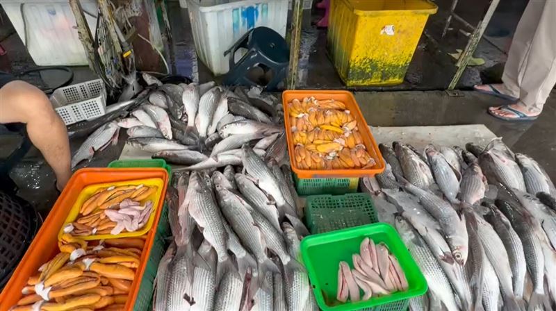 前來彰化線西塭仔港購買烏魚的人潮滿滿。(圖／翻攝畫面)