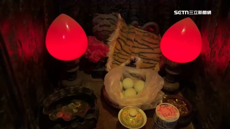 貓罐頭祭拜惹怒虎爺發爐　廟方：祂不是貓