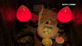 貓罐頭祭拜惹怒虎爺發爐　廟方：祂不是貓