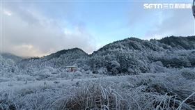 台中冷到出現「極地現象」　水龍頭秒變冰,思源啞口,雪景(圖/翻攝畫面)