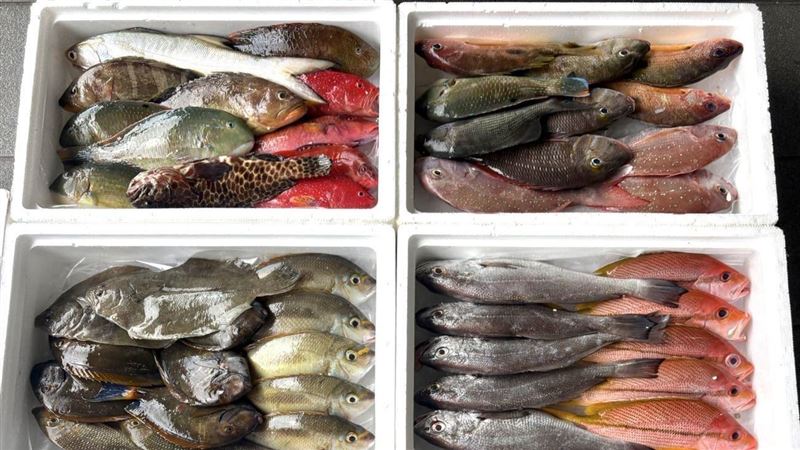 中國禁日本水產！恐引印度貨　陸網：別來