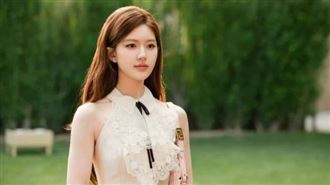 趙露思不忍了！大動作鎖定17名黑粉提告