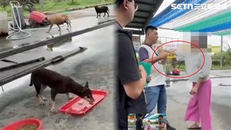 推人畫面曝！愛媽：觀音說不餵狗…背因果