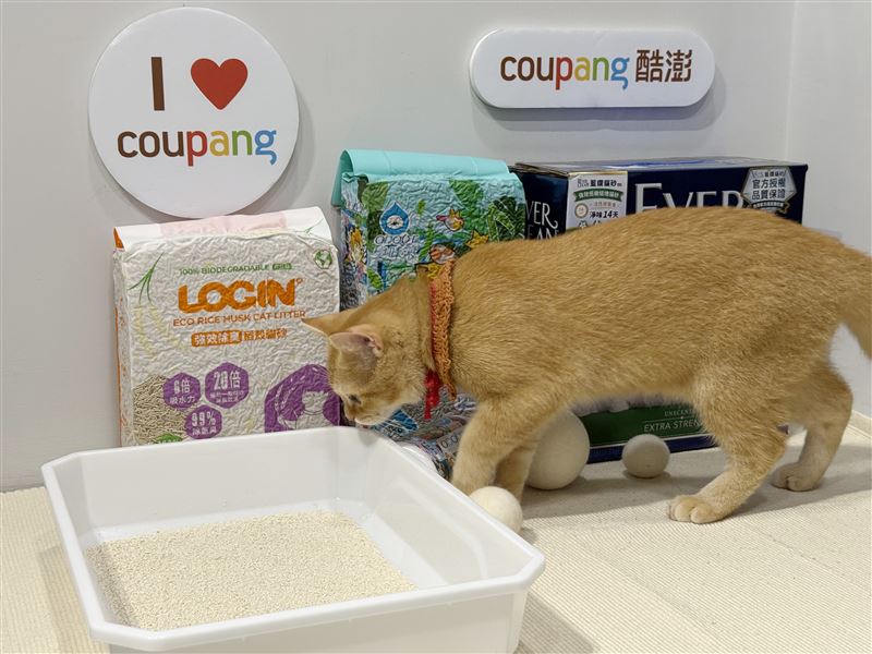 酷澎寵物展主打高人氣貓砂「箱購五折起」並搭配「火箭速配」免搬直送到府，讓飼主補貨更輕鬆。（圖／業者提供）