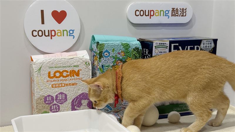 酷澎寵物展貓砂五折起　火箭速配到家