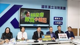 國民黨推修改國籍法，使中配參政權不受國籍法規範。（圖／國民黨立院黨團提供） 