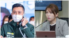 陳智菡林智堅（合成圖／資料畫面）