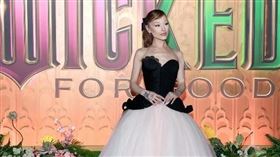 32歲流行天后亞莉安娜（Ariana Grande）近期投入電影《魔法壞女巫：第二部》（Wicked: For Good）宣傳。（圖／翻攝自IG @arianagrande）