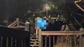 台北,南港公園,議員陳宥丞,天體營,裸體,公園處。（圖／翻攝陳宥丞臉書）