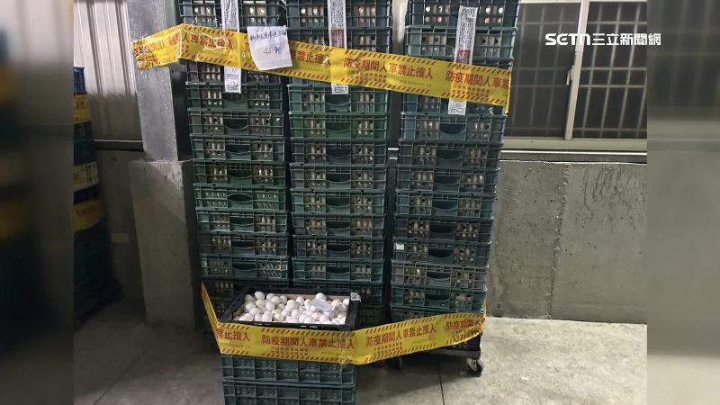 彰化問題雞蛋流入台中市
