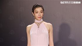 蔡淑臻出席金馬獎星光大道。（圖／記者鄭孟晃、趙于瑩攝影）