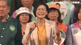 林岱樺,民進黨,高雄,旗山,派系,天公伯仔,初選,馬拉松,貪污,造勢,市長,選舉