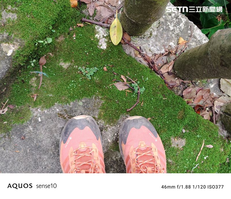 夏普AQUOS sense10戶外