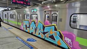 台鐵列車遭大面積塗鴉。（圖／讀者提供） 