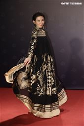 第62屆金馬獎紅毯。（圖／記者鄭孟晃、趙于瑩攝影）