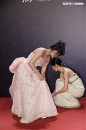 第62屆金馬獎紅毯。（圖／記者鄭孟晃、趙于瑩攝影）