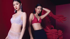 為迎接龍年到來，黛安芬推出最受矚目的聯名系列<嬌龍>。（圖／品牌業者提供）