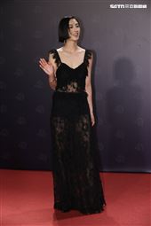 第62屆金馬獎紅毯。（圖／記者鄭孟晃、趙于瑩攝影）