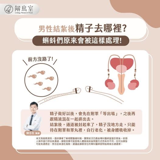 陳忠佐醫師表示，結紮後睪丸還是會繼續正常生產精子，只是出門的路被封起來了。（圖／翻攝自泌尿科陳忠佐醫師臉書）