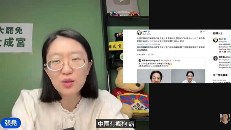 出生於中國、目前定居加拿大的網紅張堯直言：「中國有瘋狗病」。（圖／翻攝Yao Zhang張堯YT）