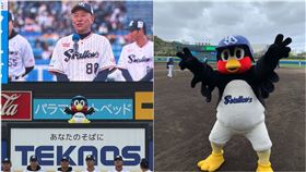 日職超夯吉祥物燕九郎　明年球季正式回歸