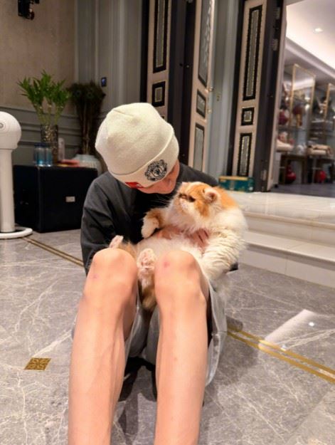 鹿晗近日分享的室內照中，可見住宅採高低台階設計，暖黃色間接燈搭配歐式線條家具。（圖／翻攝自鹿晗微博）