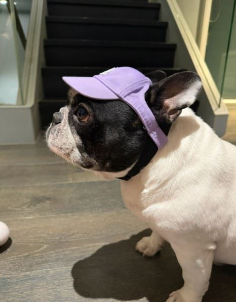 據傳是鹿晗早年購置的房產。（圖／翻攝自鹿晗微博）