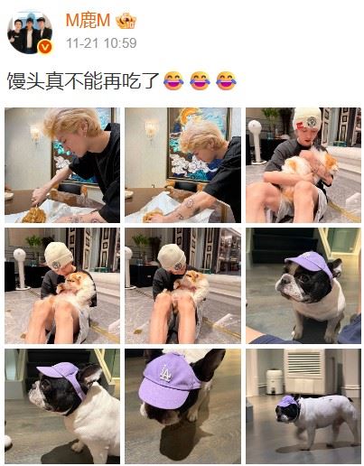 鹿晗同時在貼文寫下「饅頭不能再吃了」，網友推測愛犬可能太愛吃，才被限制飲食。（圖／翻攝自鹿晗微博）