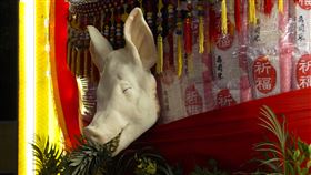 大神豬 大豬公 咬鳳梨（圖／桃園慈護宮提供）