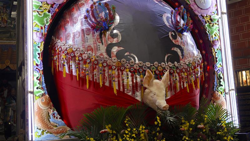 桃園慈護宮乙巳年酬恩五朝圓醮，大神豬很吸睛。（圖／桃園慈護宮提供）