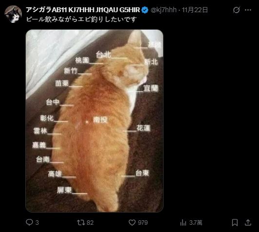 網友發揮創意，將貓咪做成台灣地圖，還標上地名。(圖/翻攝X@外交部,ROC)