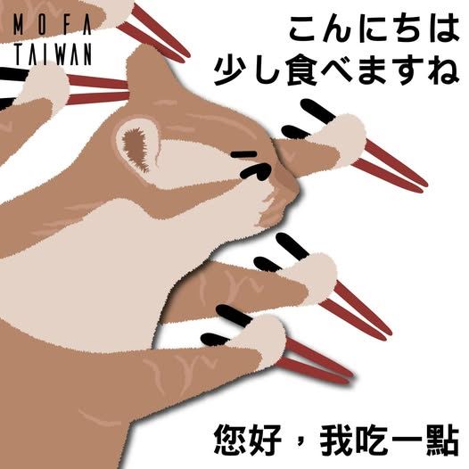 外交部貓咪迷因圖挺日水產，獲台日百萬網友按讚。(圖/翻攝X@外交部,ROC)