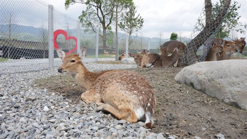 宜蘭「1農場」突宣布月底熄燈！遊客哀號