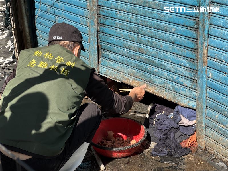 高雄77歲獨居男子陳屍住處遺體腐爛，不排除遭到飼養的狗隻啃食。（圖／翻攝畫面）
