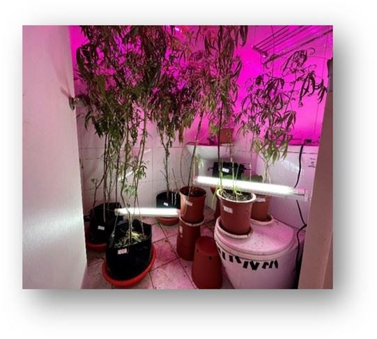 新北警全力以赴，打造頂尖緝毒菁英隊伍。（圖／新北警察局提供）