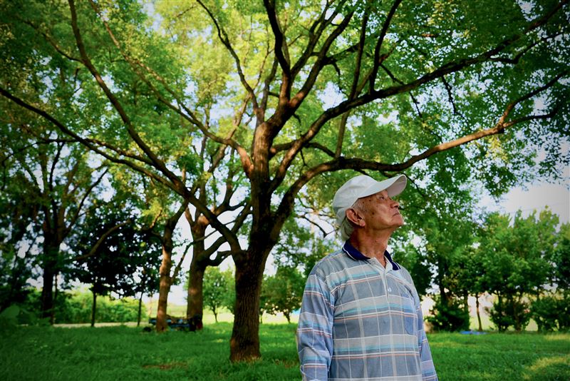 鄉土文學作家吳晟，長年無償將純園的樹木移植至社區。（圖／文化總會提供）