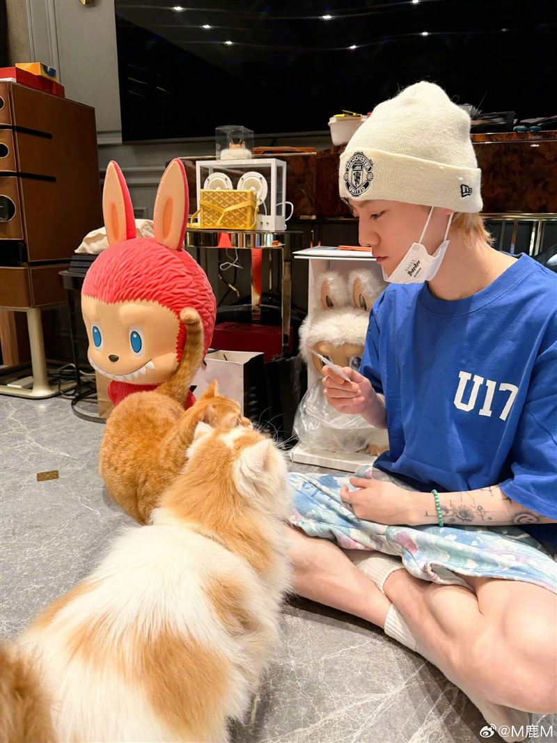 鹿唅分享寵物日常，北京豪宅內裝意外曝光。（圖／翻攝自鹿晗微博＠M鹿Ｍ）