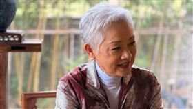 葉麗儀曾在年輕時期罹患乳癌。（圖／翻攝自葉麗儀小紅書）