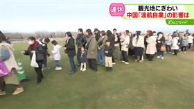 （圖／取自STVニュース北海道YouTube）