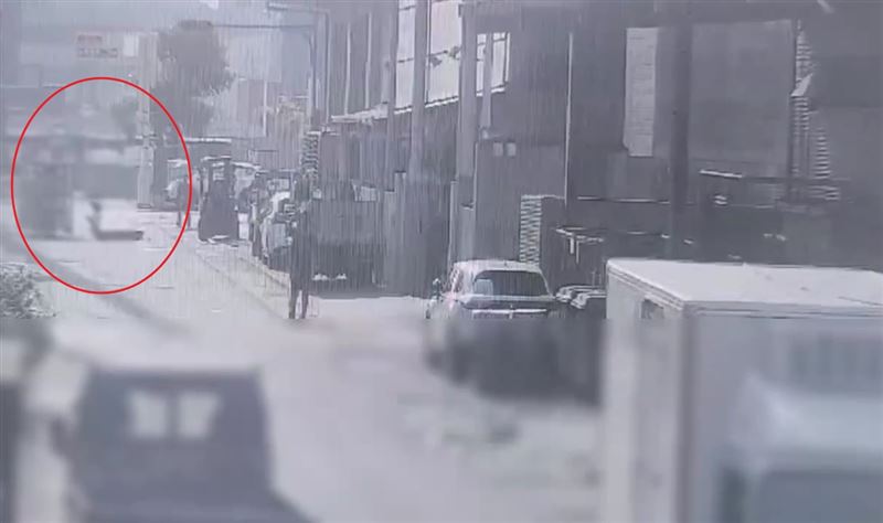 新／吊掛小山貓高處墜落　1工人搶救不治