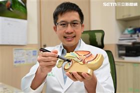 泌尿科,陽具,模型,診間(圖/翻攝畫面)
