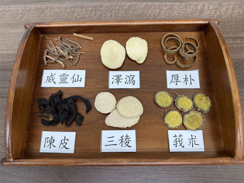 針灸加上中藥服用，讓病患又重新行走。（圖／蔡宗璟提供）